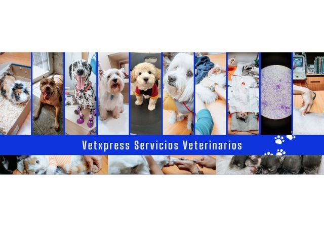 Fachada de Vetxpress Servicios Veterinarios